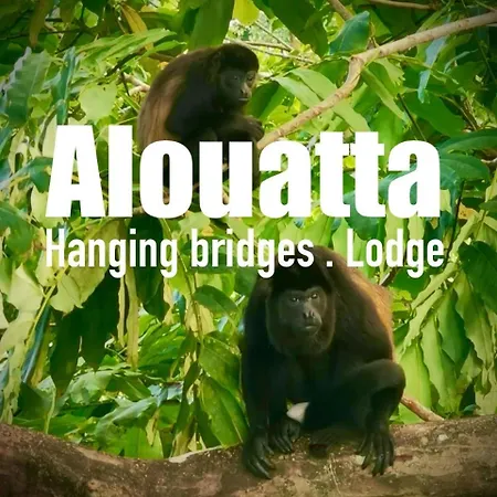 Alouatta Lodge And Canopy Cahuita Exterior photo