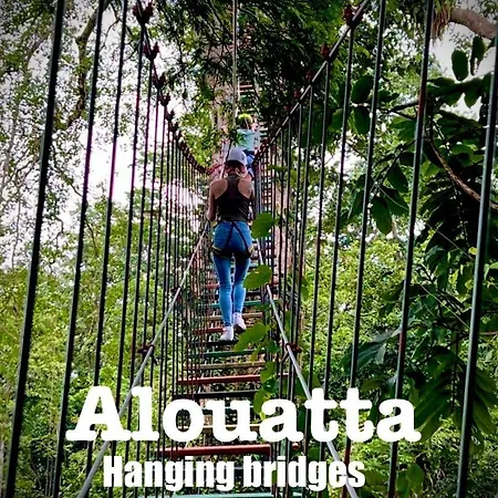 Alouatta Lodge And Canopy Cahuita Exterior photo