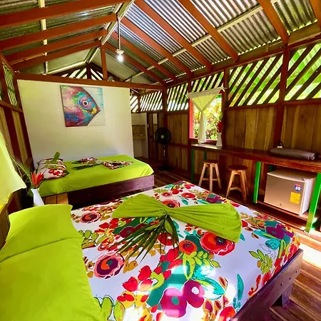 Alouatta Lodge And Canopy Cahuita Exterior photo