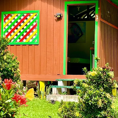 Alouatta Lodge And Canopy Cahuita Exterior photo