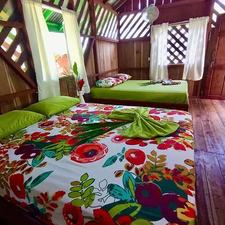 Alouatta Lodge And Canopy Cahuita Exterior photo