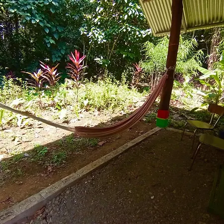 Alouatta Lodge And Canopy Cahuita Exterior photo