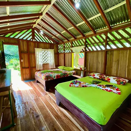 Alouatta Lodge And Canopy Cahuita Exterior photo