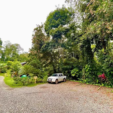 Alouatta Lodge And Canopy Cahuita Exterior photo