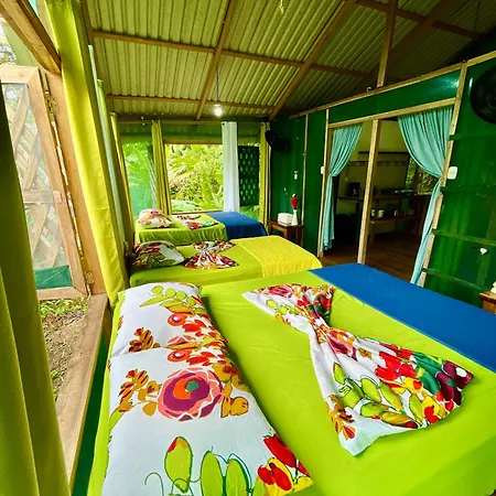 Alouatta Lodge And Canopy Cahuita Exterior photo