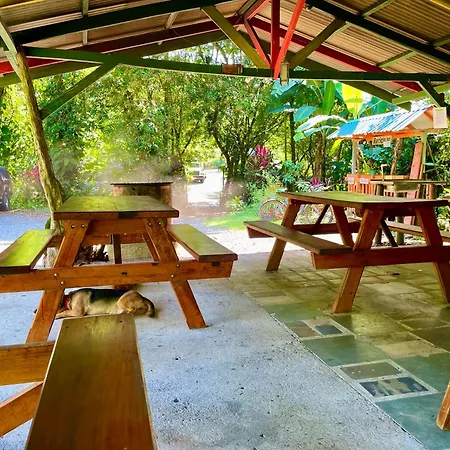 Alouatta Lodge And Canopy Cahuita Exterior photo