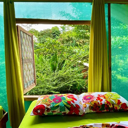 Alouatta Lodge And Canopy Cahuita Exterior photo