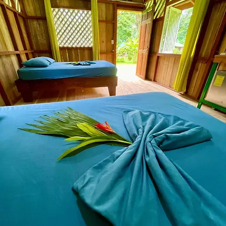 Alouatta Lodge And Canopy Cahuita Exterior photo