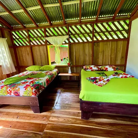 Alouatta Lodge And Canopy Cahuita Exterior photo