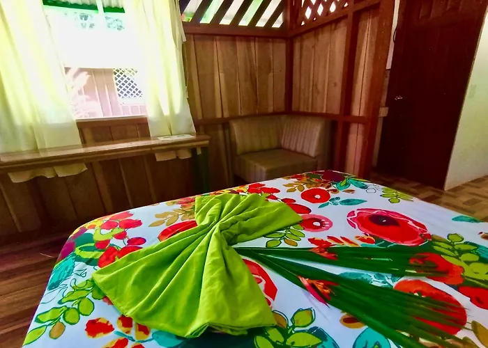 Alouatta Lodge And Canopy