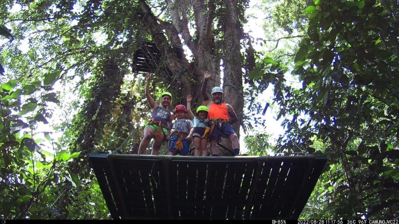 Lodge Alouatta And Canopy