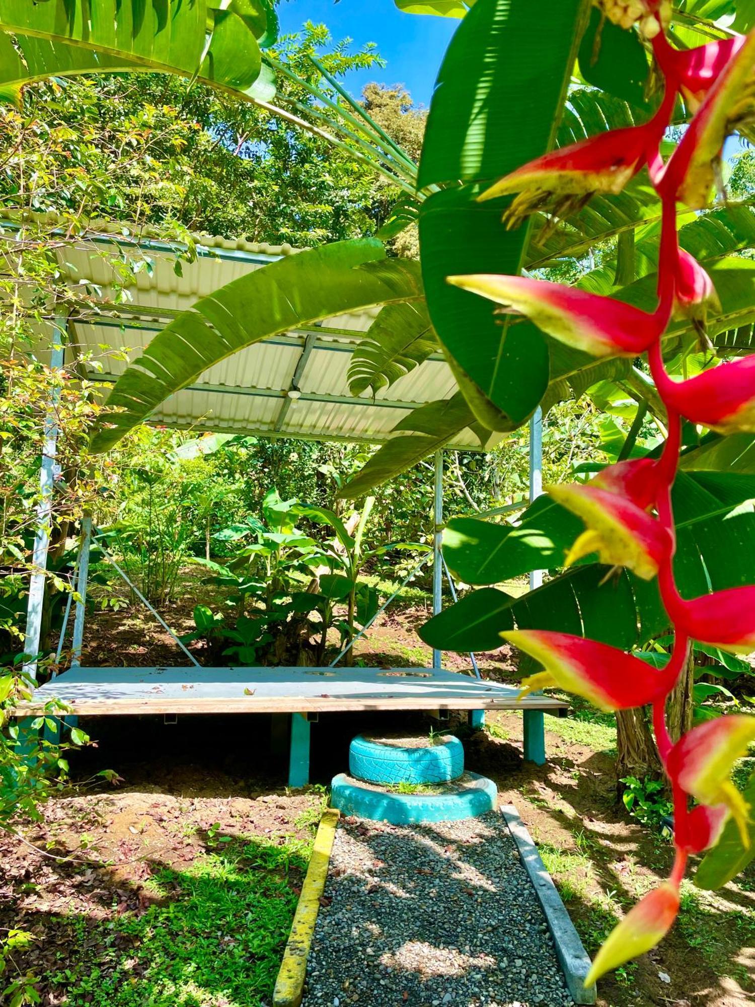 Lodge Alouatta And Canopy