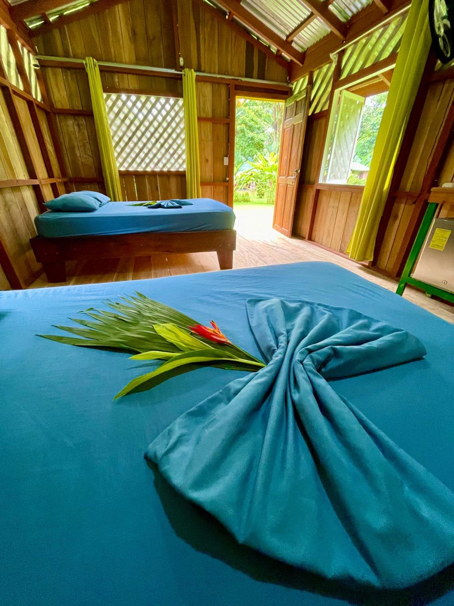 Alouatta And Canopy Lodge