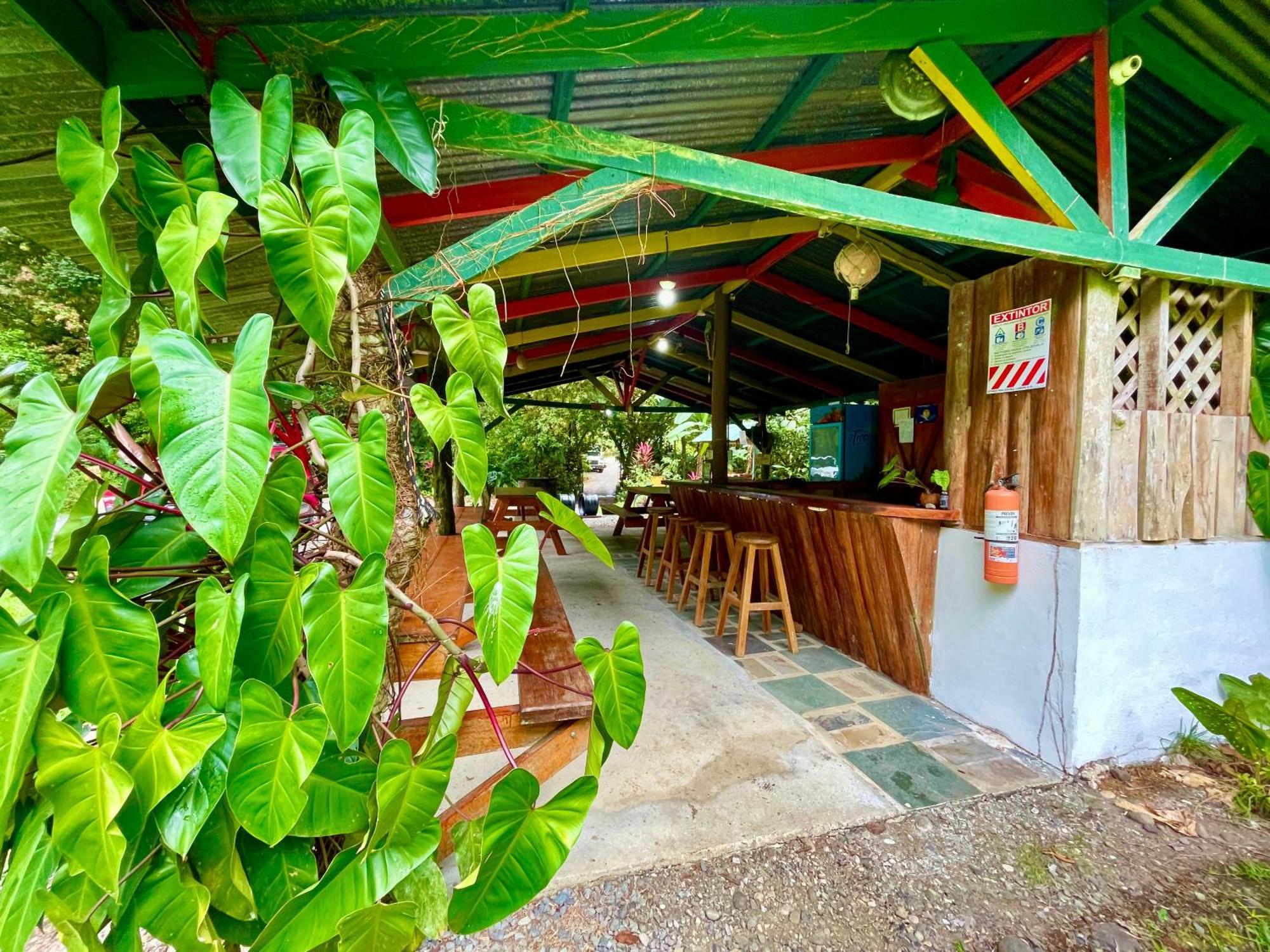 Alouatta And Canopy Lodge Cahuita